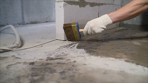 24/7 Emergency Waterproofing experts in Crystal, MI